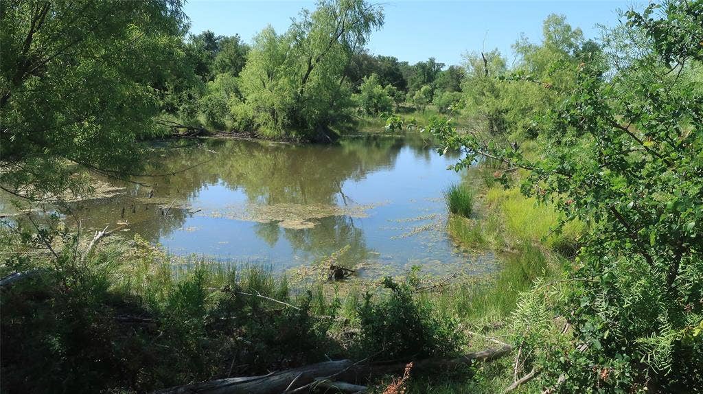 TBD County Road 136, Stephenville, TX 76401 Pond view