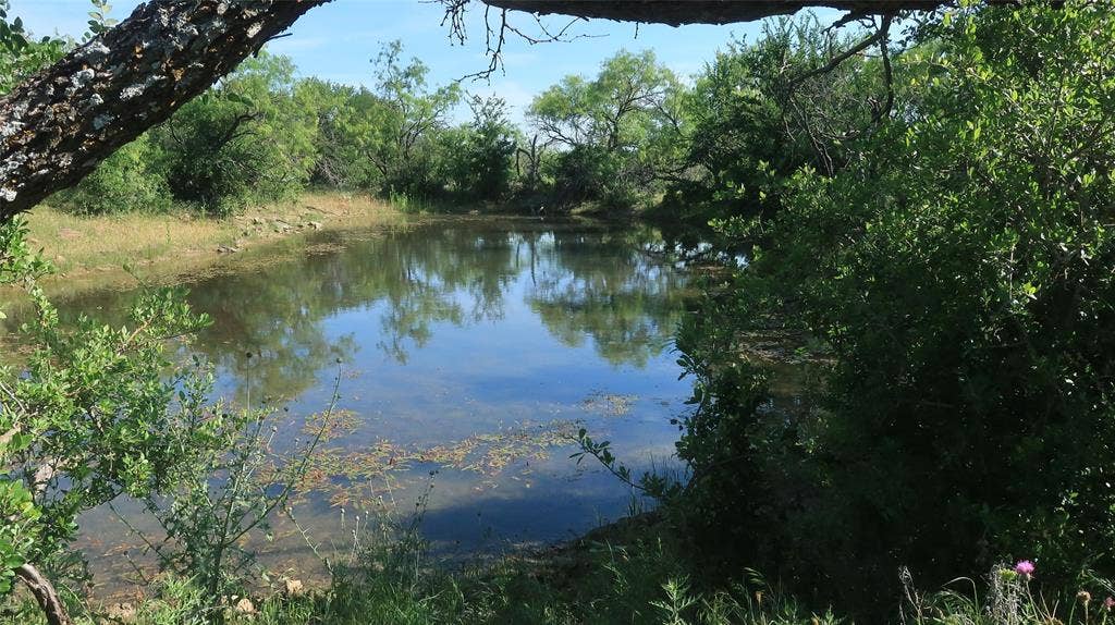 TBD County Road 136, Stephenville, TX 76401 Pond view