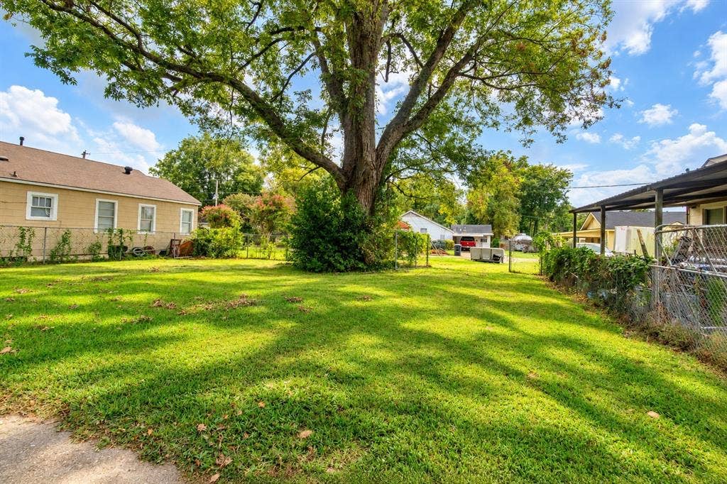 Expansive backyard featuring a large mature tree, manicured lawn, and chain-link fencing