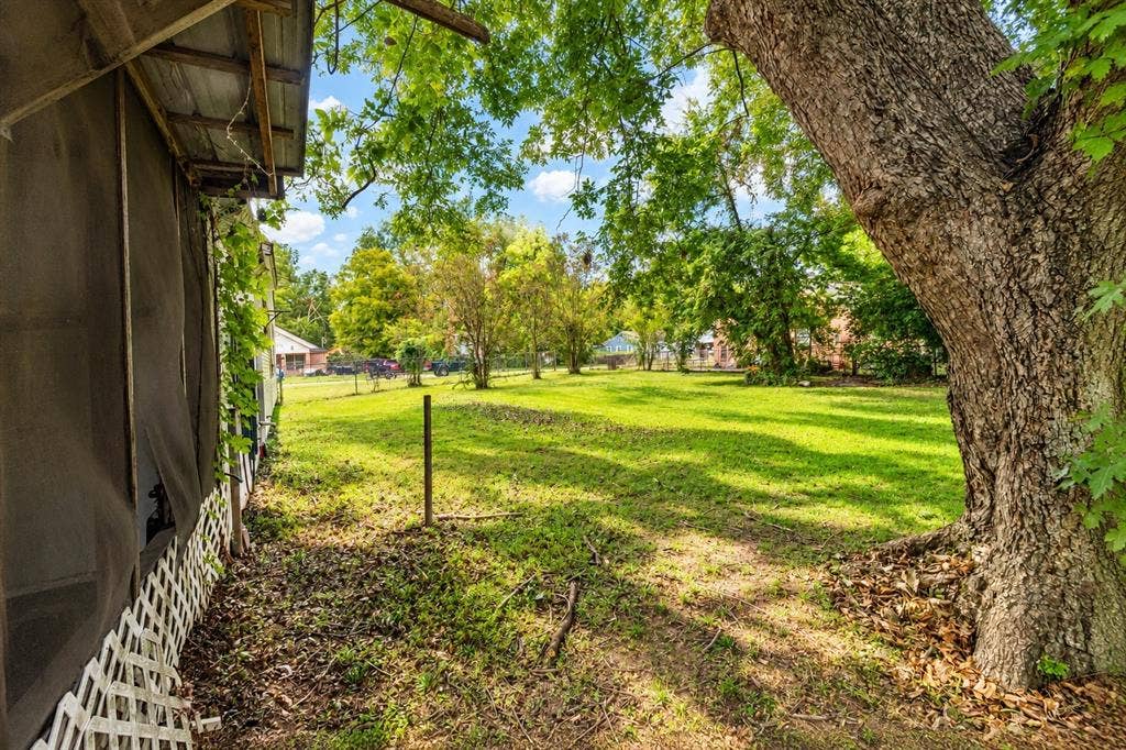 Spacious backyard featuring a large mature tree and a fenced perimeter
