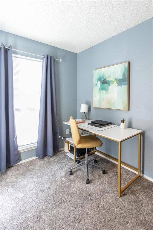Room featuring neutral wall-to-wall carpeting, blue-toned paint, and a large window with a horizontal blind