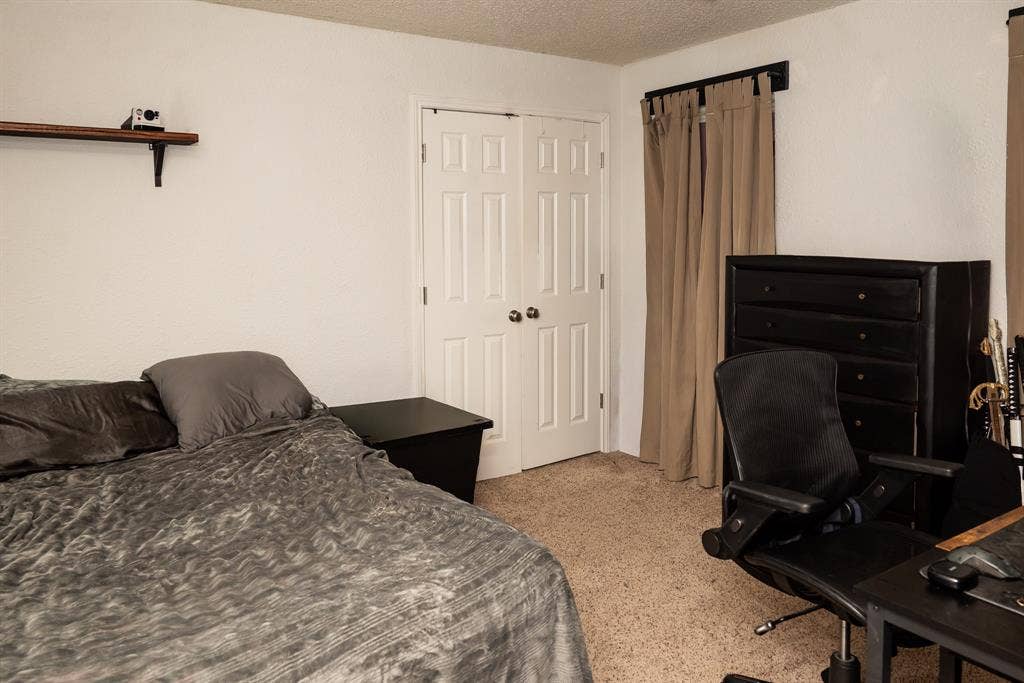Neutral carpeting, double-panel closet doors, and wall-mounted shelving