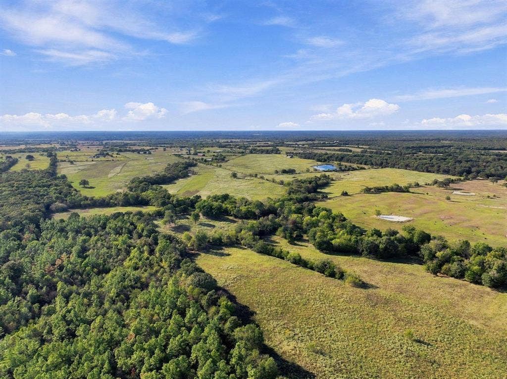 11550 Fm-195, Paris, TX 75462 11550 Fm-195, Paris, TX 75462