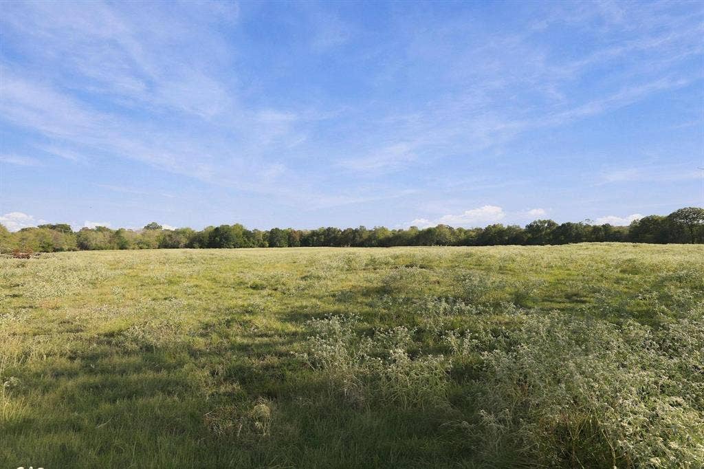 11550 Fm-195, Paris, TX 75462 11550 Fm-195, Paris, TX 75462