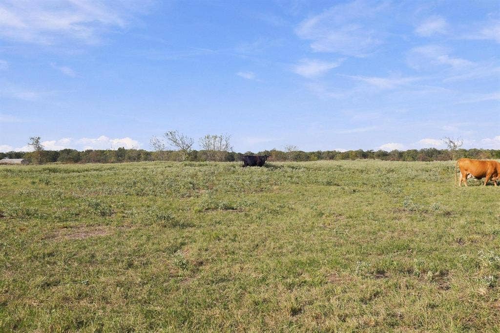 11550 Fm-195, Paris, TX 75462 11550 Fm-195, Paris, TX 75462