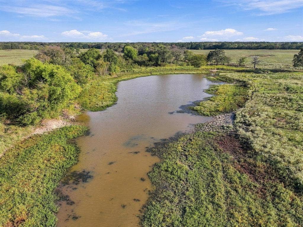 11550 Fm-195, Paris, TX 75462 11550 Fm-195, Paris, TX 75462