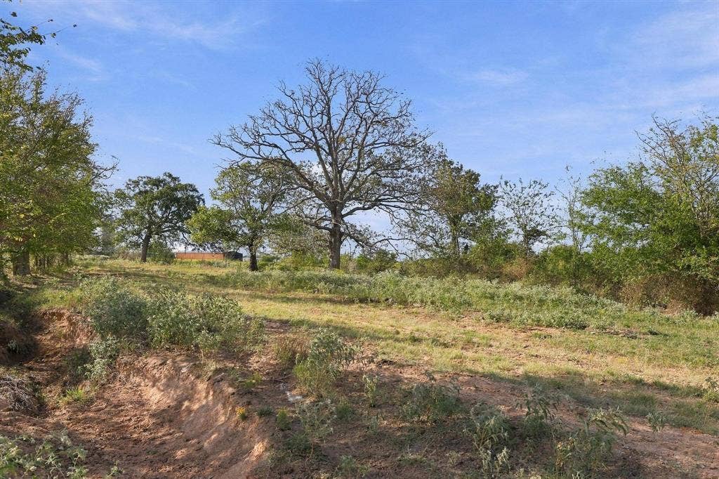 11550 Fm-195, Paris, TX 75462 11550 Fm-195, Paris, TX 75462