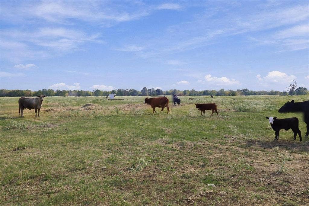 11550 Fm-195, Paris, TX 75462 11550 Fm-195, Paris, TX 75462