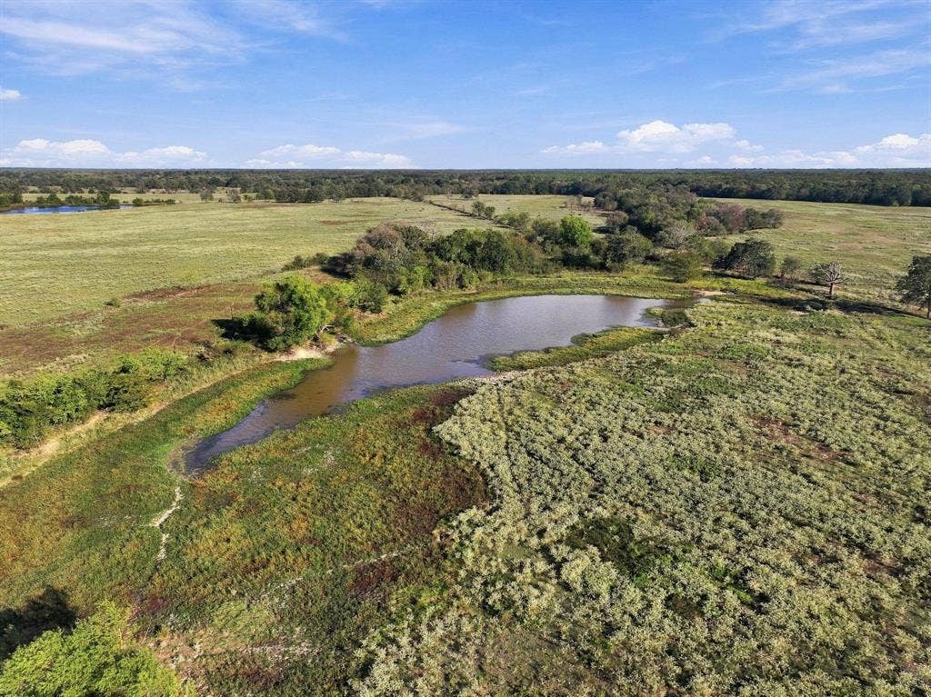 11550 Fm-195, Paris, TX 75462 11550 Fm-195, Paris, TX 75462