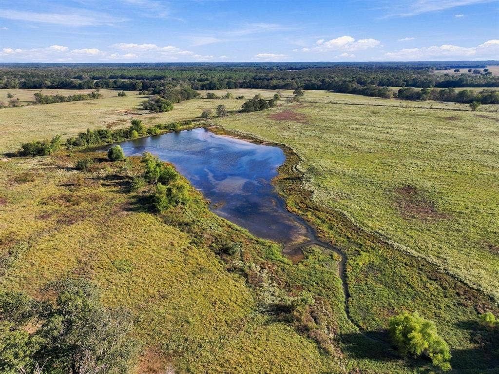 11550 Fm-195, Paris, TX 75462 11550 Fm-195, Paris, TX 75462