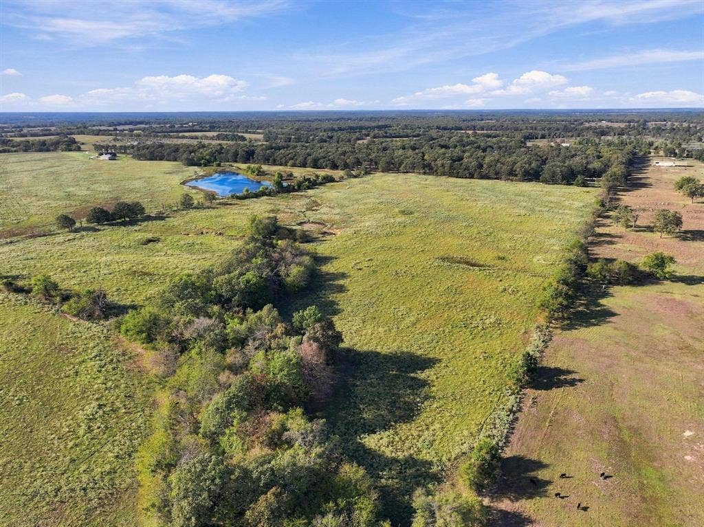 11550 Fm-195, Paris, TX 75462 11550 Fm-195, Paris, TX 75462