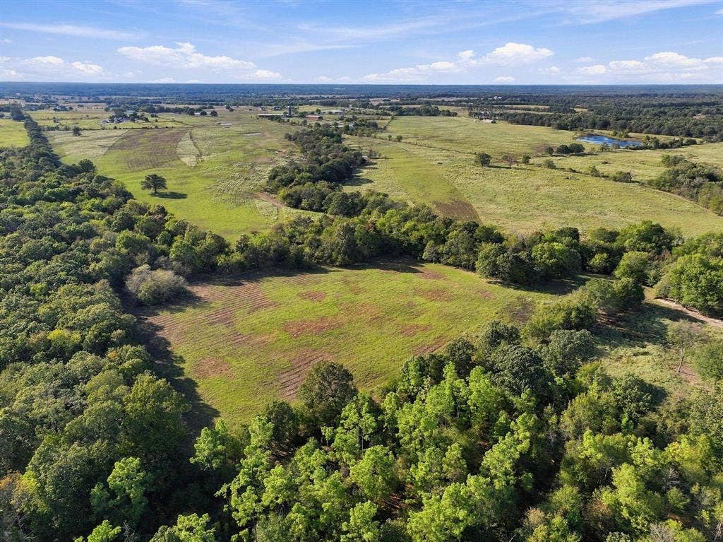 11550 Fm-195, Paris, TX 75462 11550 Fm-195, Paris, TX 75462