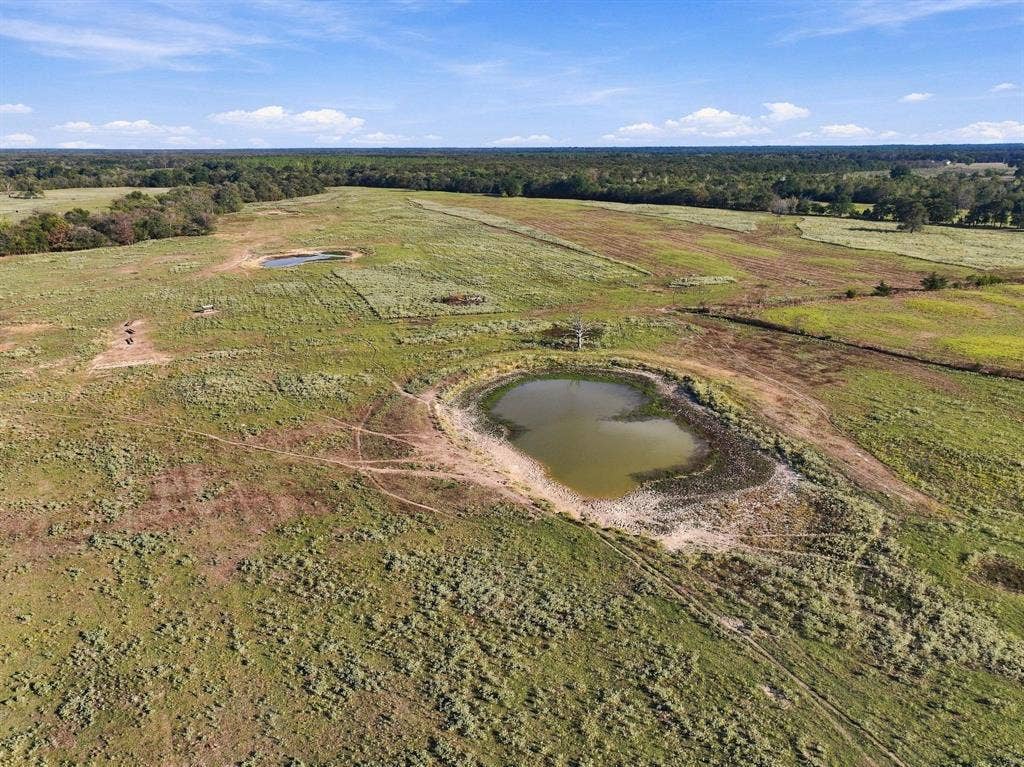 11550 Fm-195, Paris, TX 75462 11550 Fm-195, Paris, TX 75462