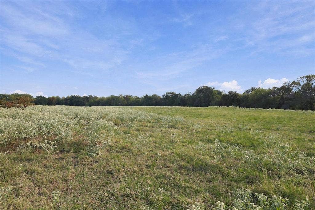 11550 Fm-195, Paris, TX 75462 11550 Fm-195, Paris, TX 75462