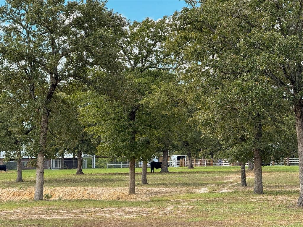 7700 County Road 3700, Athens, TX 75752 7700 County Road 3700, Athens, TX 75752