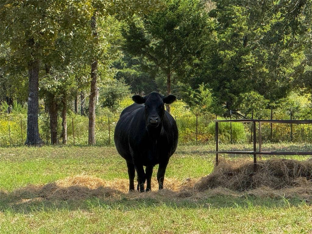 7700 County Road 3700, Athens, TX 75752 7700 County Road 3700, Athens, TX 75752