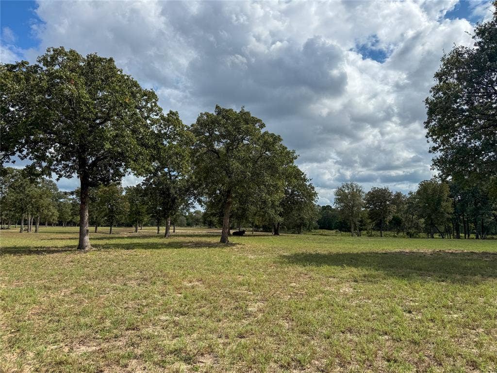 7700 County Road 3700, Athens, TX 75752 7700 County Road 3700, Athens, TX 75752