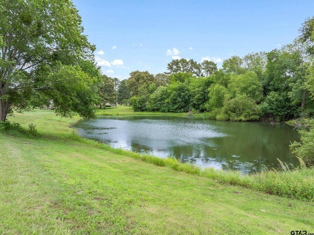 1203 N Spring Street, Grand Saline, TX 75140