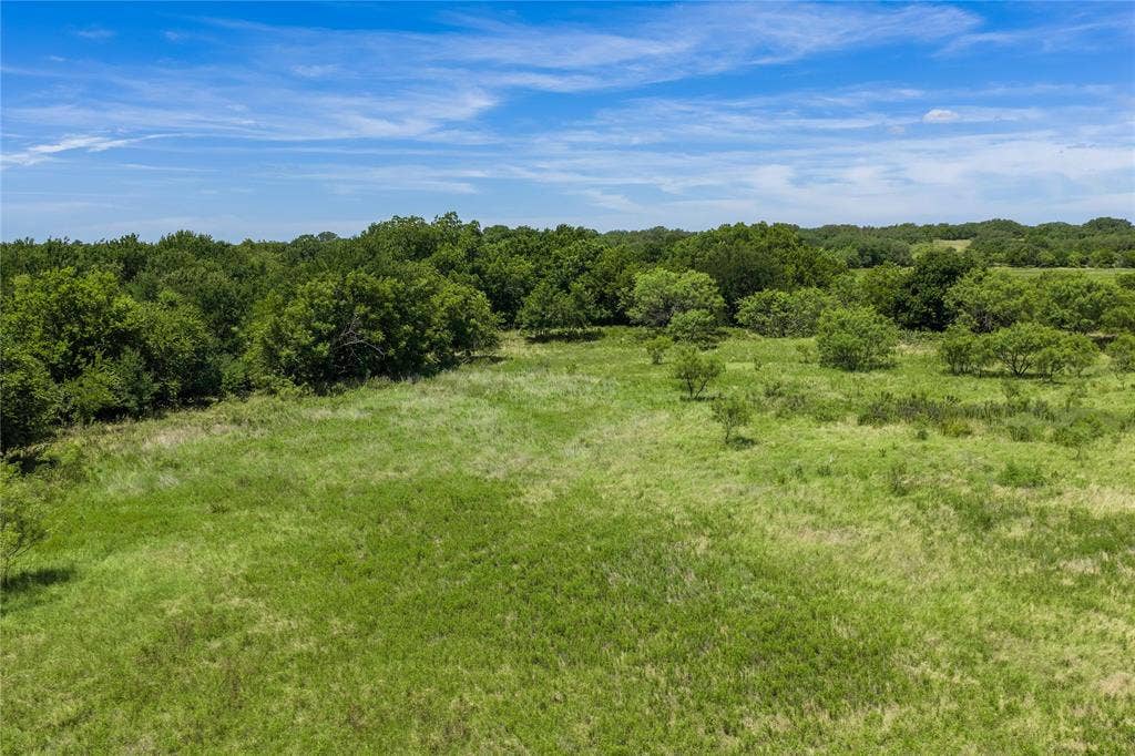 153 Acres FM 583, Rising Star, TX 76471 153 Acres FM 583, Rising Star, TX 76471