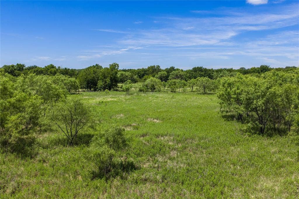 153 Acres FM 583, Rising Star, TX 76471 153 Acres FM 583, Rising Star, TX 76471