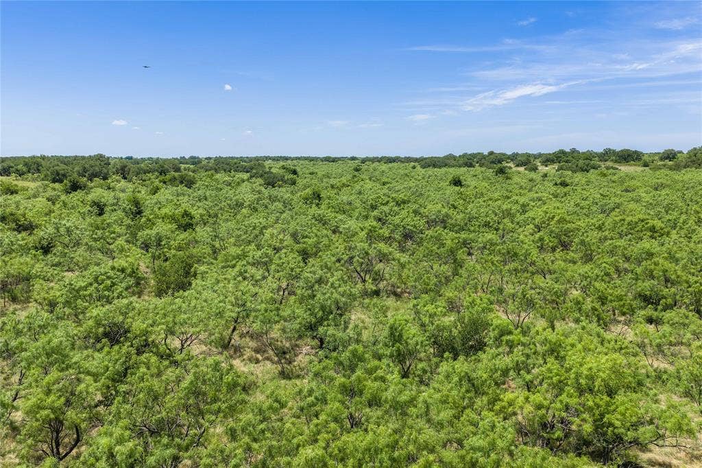 153 Acres FM 583, Rising Star, TX 76471 153 Acres FM 583, Rising Star, TX 76471