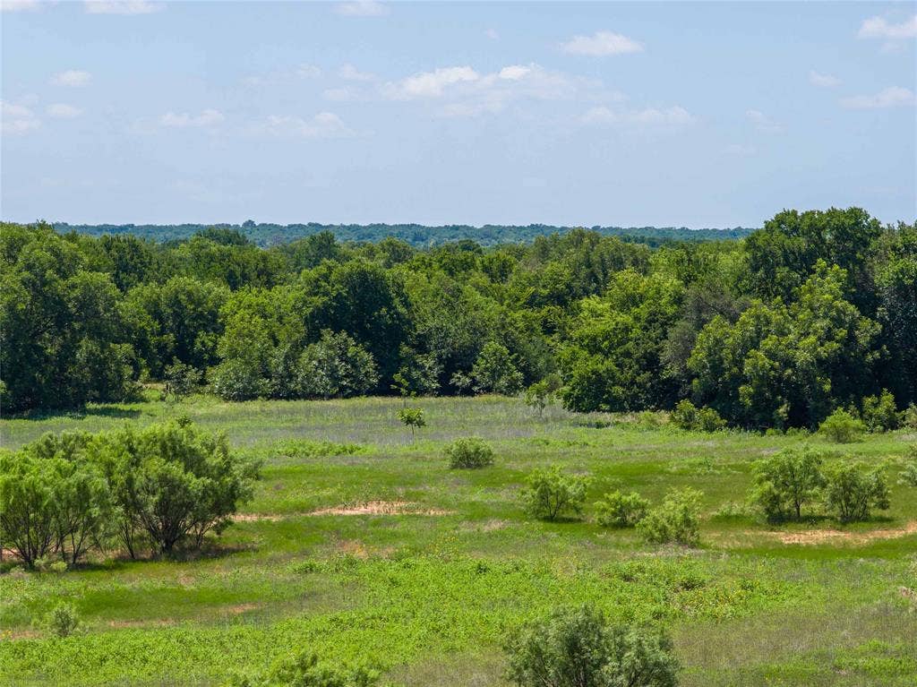 153 Acres FM 583, Rising Star, TX 76471 153 Acres FM 583, Rising Star, TX 76471