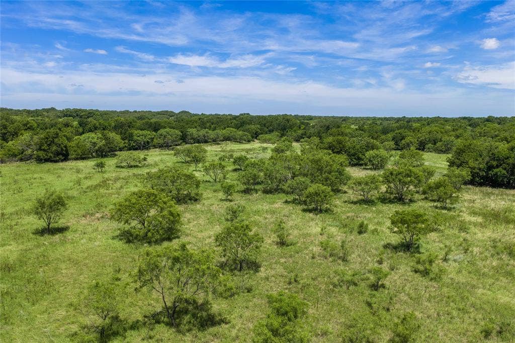 153 Acres FM 583, Rising Star, TX 76471 153 Acres FM 583, Rising Star, TX 76471