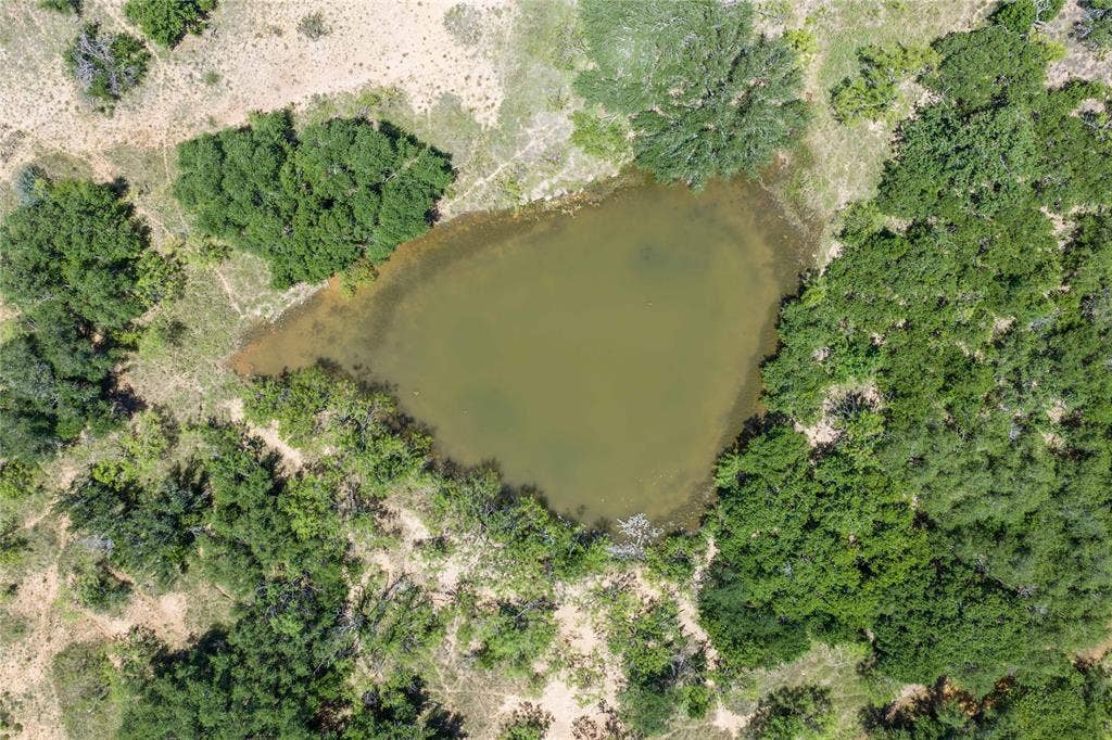 153 Acres FM 583, Rising Star, TX 76471 153 Acres FM 583, Rising Star, TX 76471