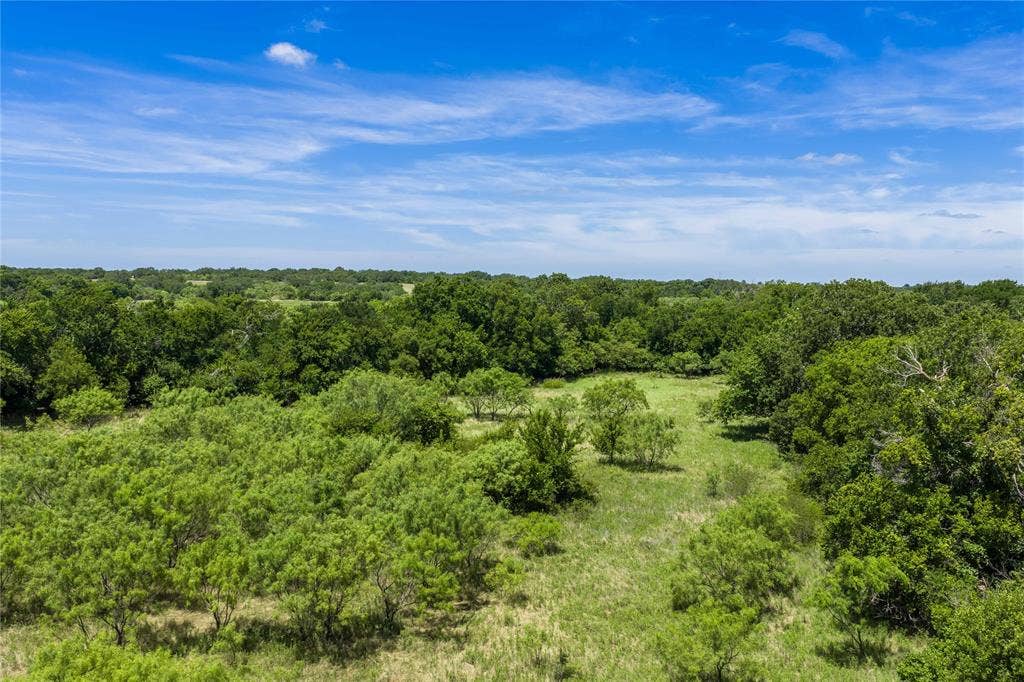 153 Acres FM 583, Rising Star, TX 76471 A great amount of Oak tree coverage