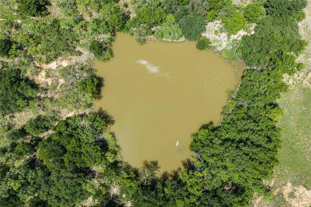 153 Acres FM 583, Rising Star, TX 76471 153 Acres FM 583, Rising Star, TX 76471
