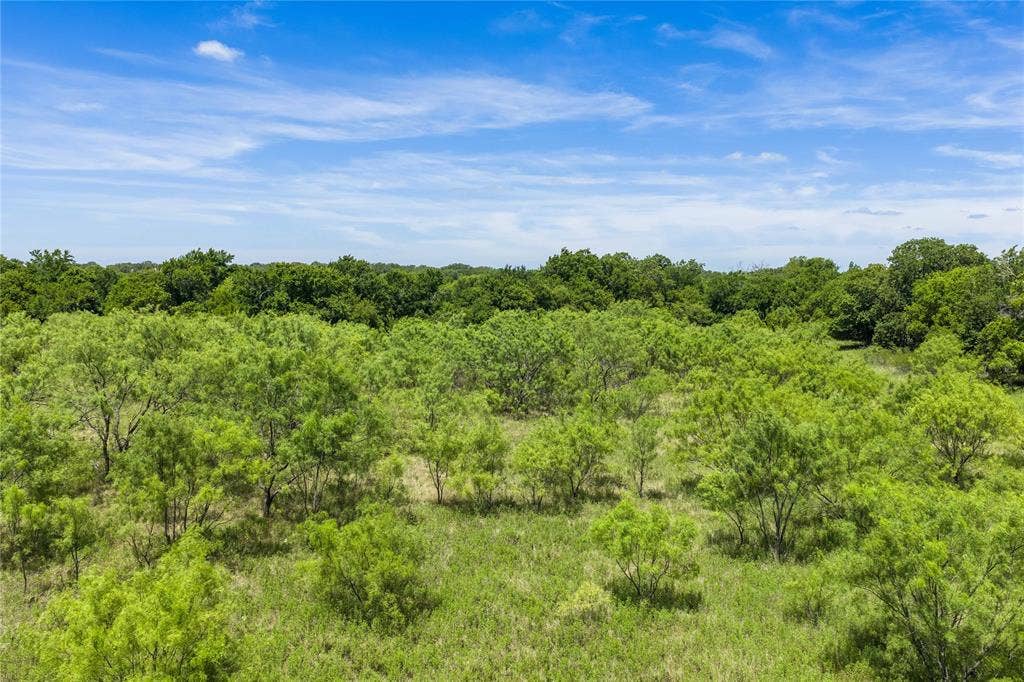 153 Acres FM 583, Rising Star, TX 76471 153 Acres FM 583, Rising Star, TX 76471