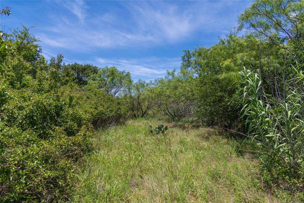 153 Acres FM 583, Rising Star, TX 76471 153 Acres FM 583, Rising Star, TX 76471