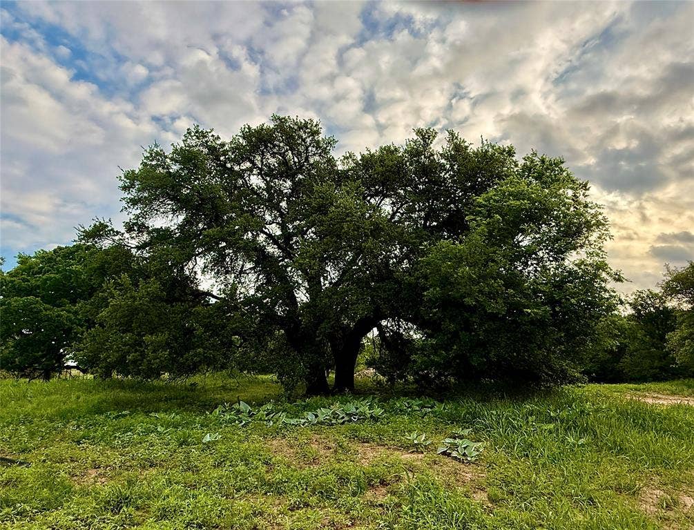 417 CR 415, Comanche, TX 76442 417 CR 415, Comanche, TX 76442
