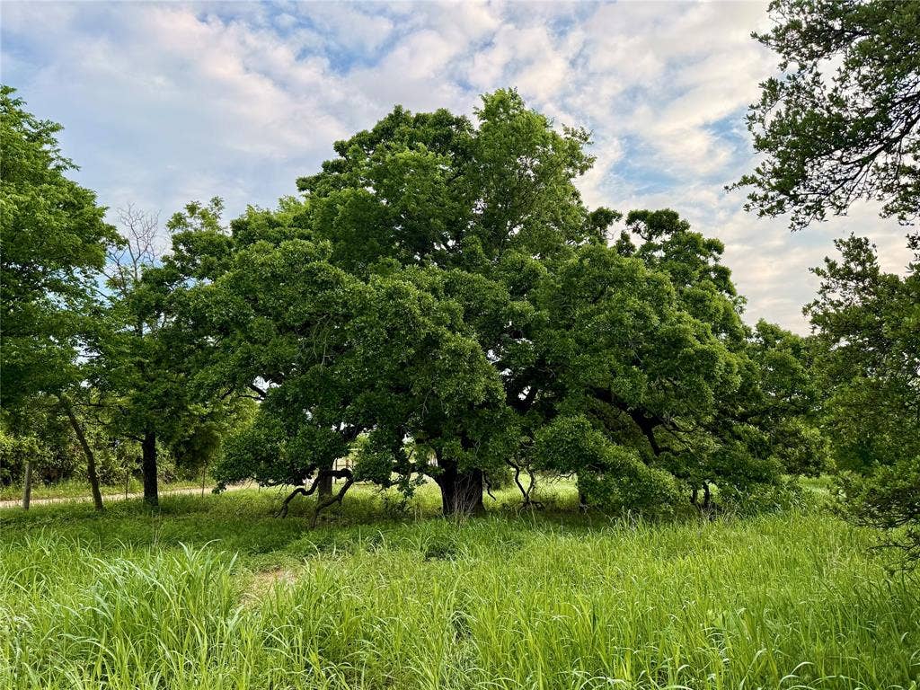 417 CR 415, Comanche, TX 76442 417 CR 415, Comanche, TX 76442