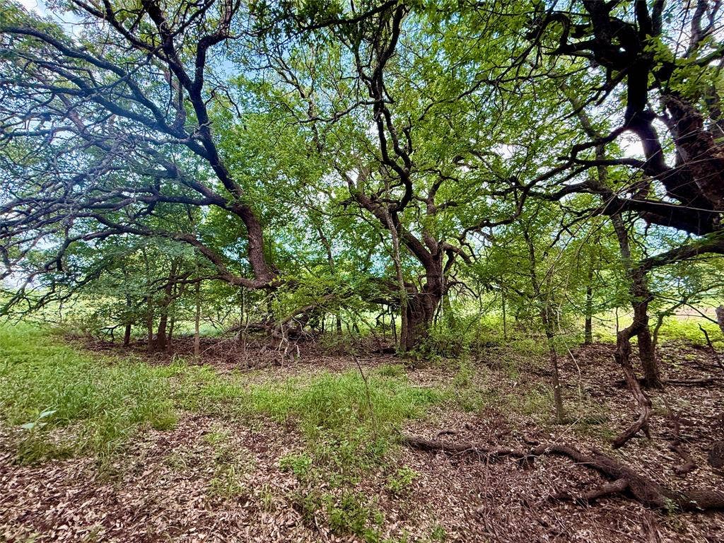 417 CR 415, Comanche, TX 76442 417 CR 415, Comanche, TX 76442