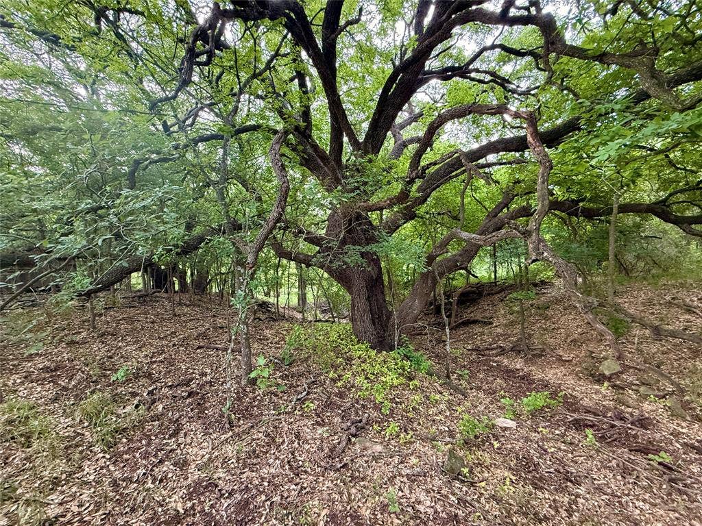 417 CR 415, Comanche, TX 76442 417 CR 415, Comanche, TX 76442