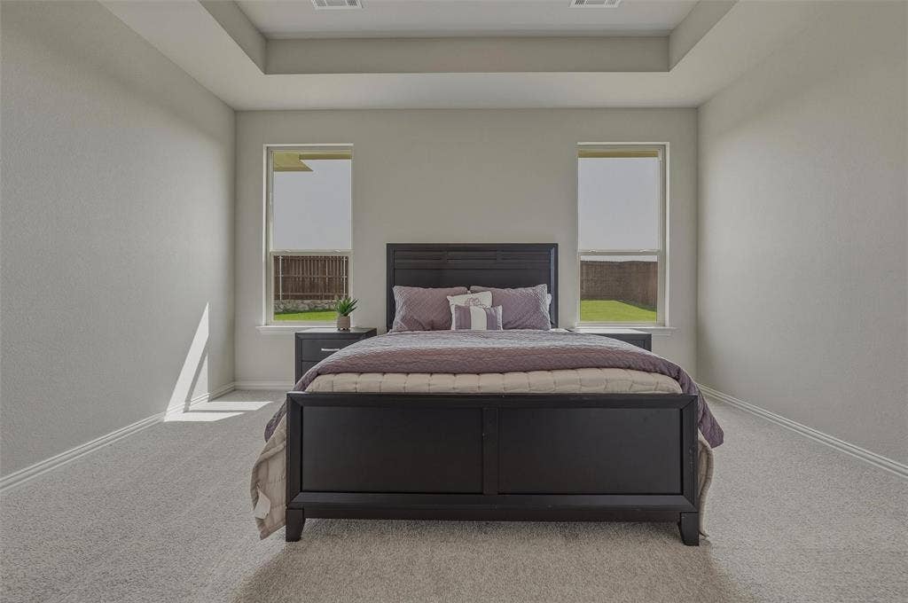 Tray ceiling, recessed lighting, double windows, neutral wall tones, and light-toned carpeting