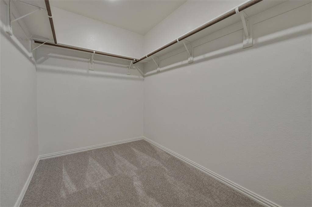 Walk-in closet featuring carpet flooring, crisp white walls, and built-in shelving with hanging rods