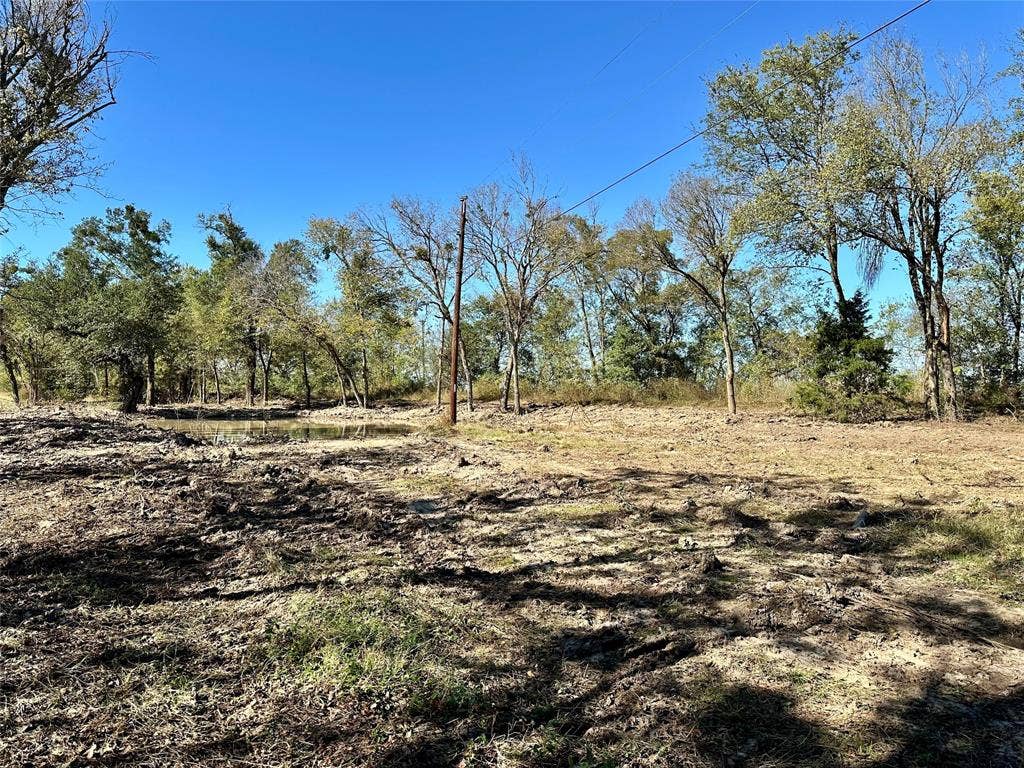 1.62 acres Texas Highway 11 W, Sulphur Springs, TX 75482 View of undeveloped land