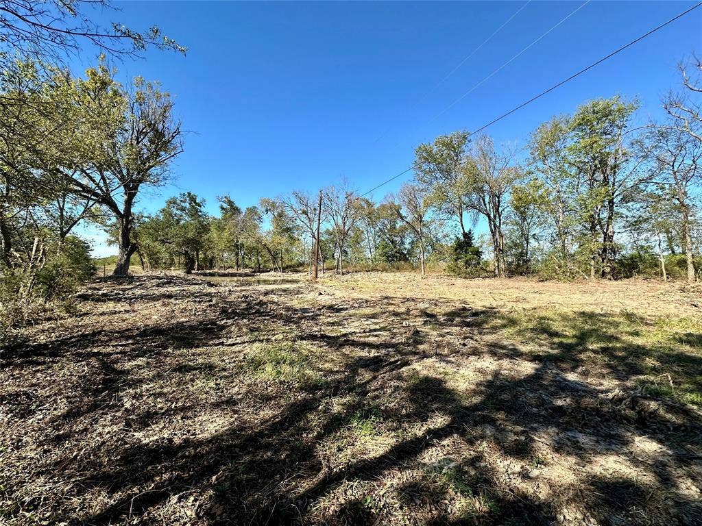 1.62 acres Texas Highway 11 W, Sulphur Springs, TX 75482 View of yard