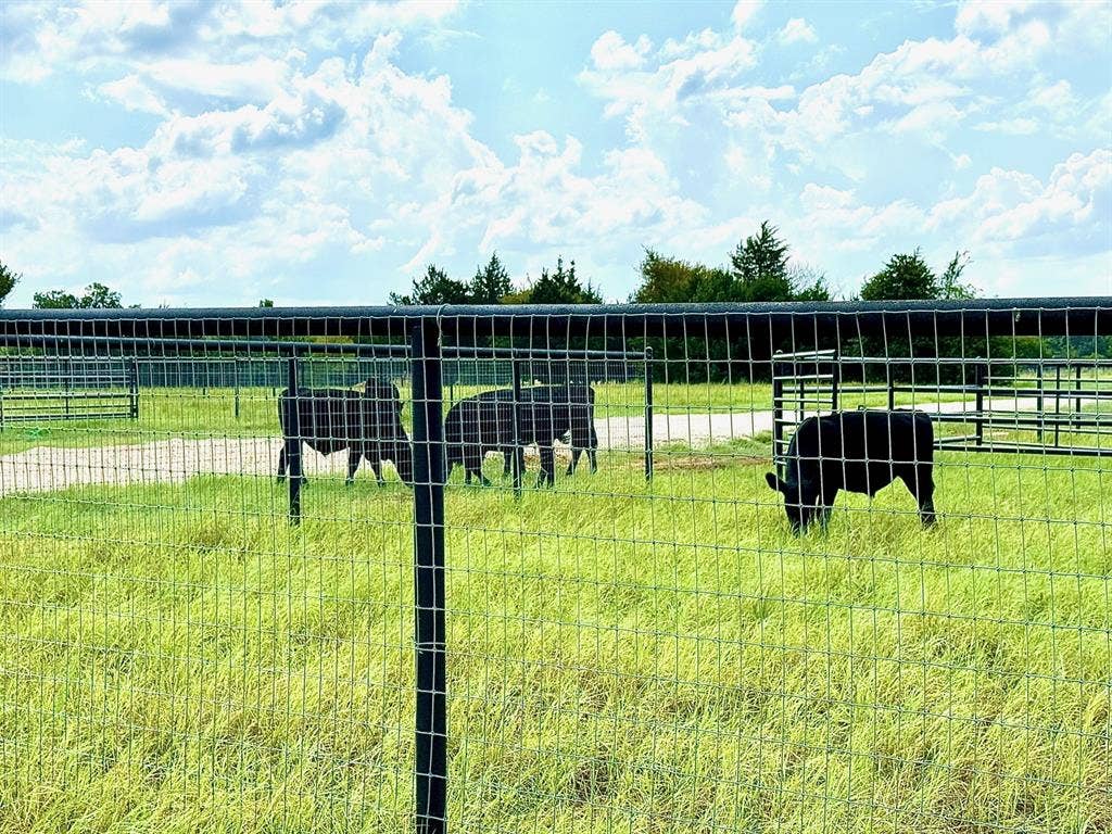 View of pasture