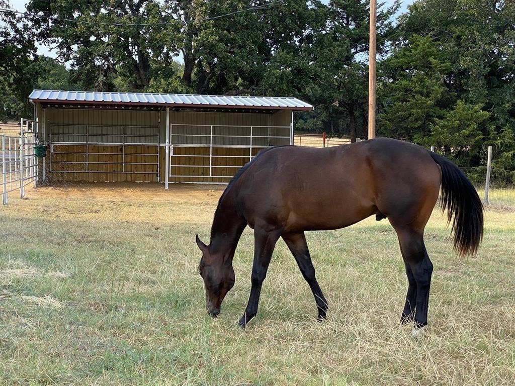 Run and stalls