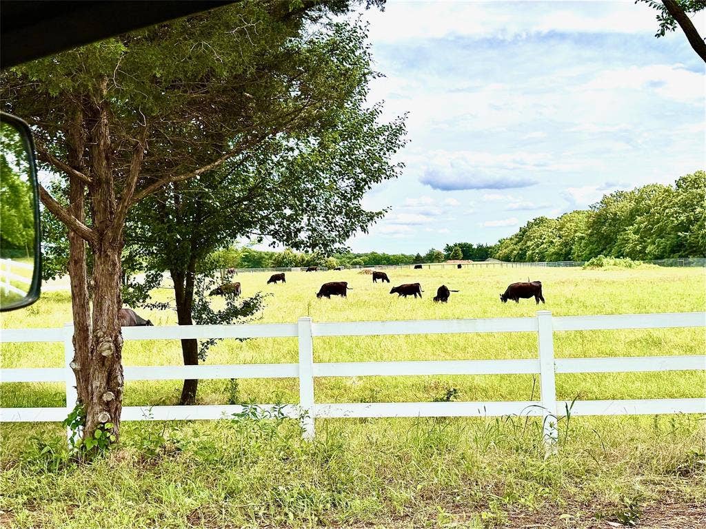 Looking at pasture from the road