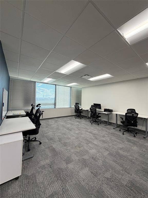 Large workspace featuring a suspended drop ceiling, recessed fluorescent lighting, wall-to-wall carpeting, and floor-to-ceiling windows with integrated blinds
