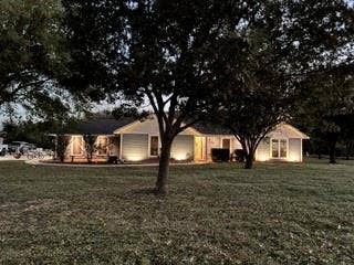 Lighted landscaping