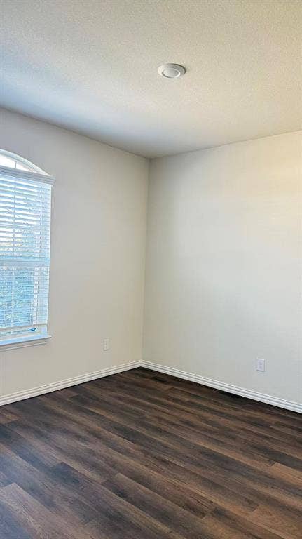 Room featuring wood-finish flooring, neutral wall tones, and a window with an arched transom