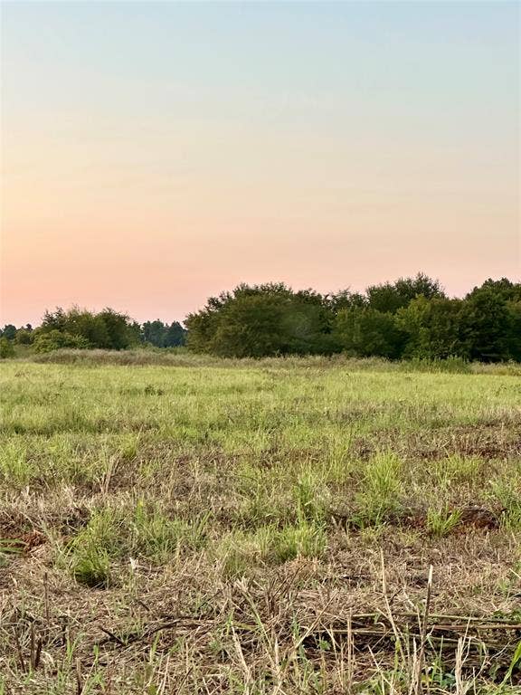View of nature featuring rural landscape