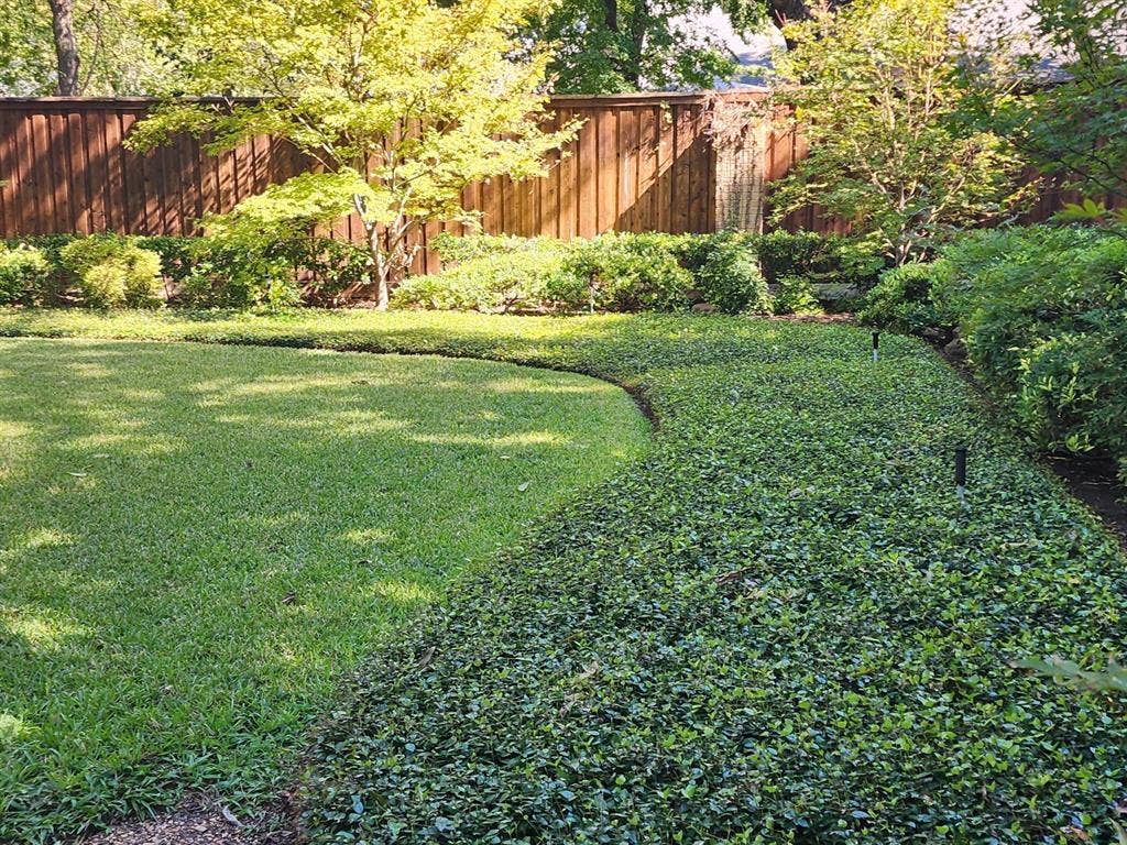 6510 Covecreek Place, Dallas, TX 75240 Top-notch high-quality fence and landscaping.