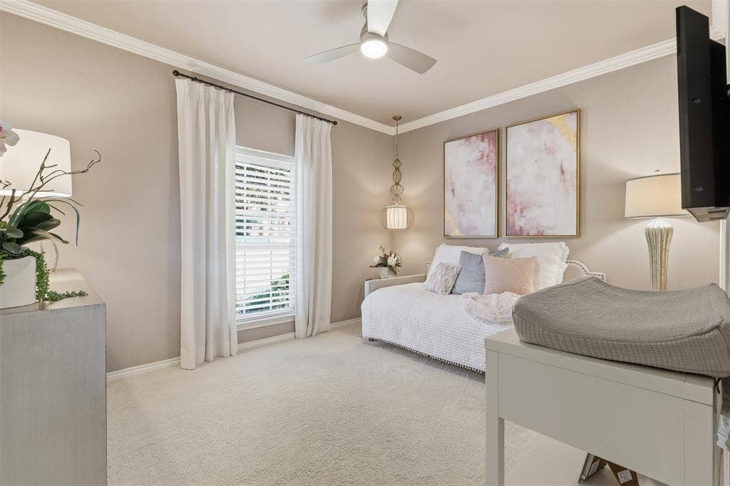 Downstairs guest bedroom, could also be great office