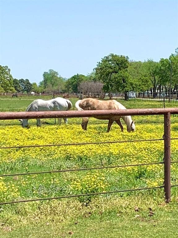 10145 Friendship Road, Pilot Point, TX 76258